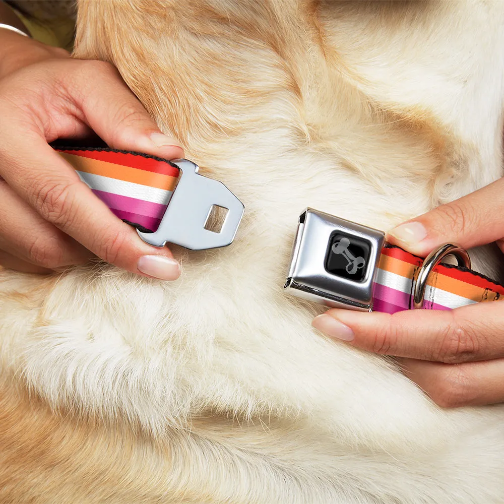 Dog Bone Black/Silver Seatbelt Buckle Collar - Flag Lesbian Five Stripe Oranges/White/Pinks by Buckle-Down