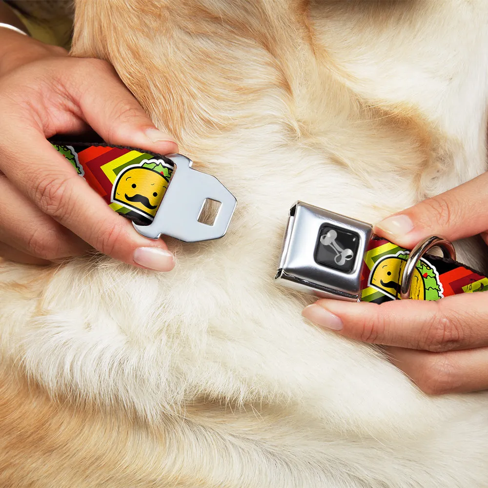 Dog Bone Seatbelt Buckle Collar - Taco Man by Buckle-Down