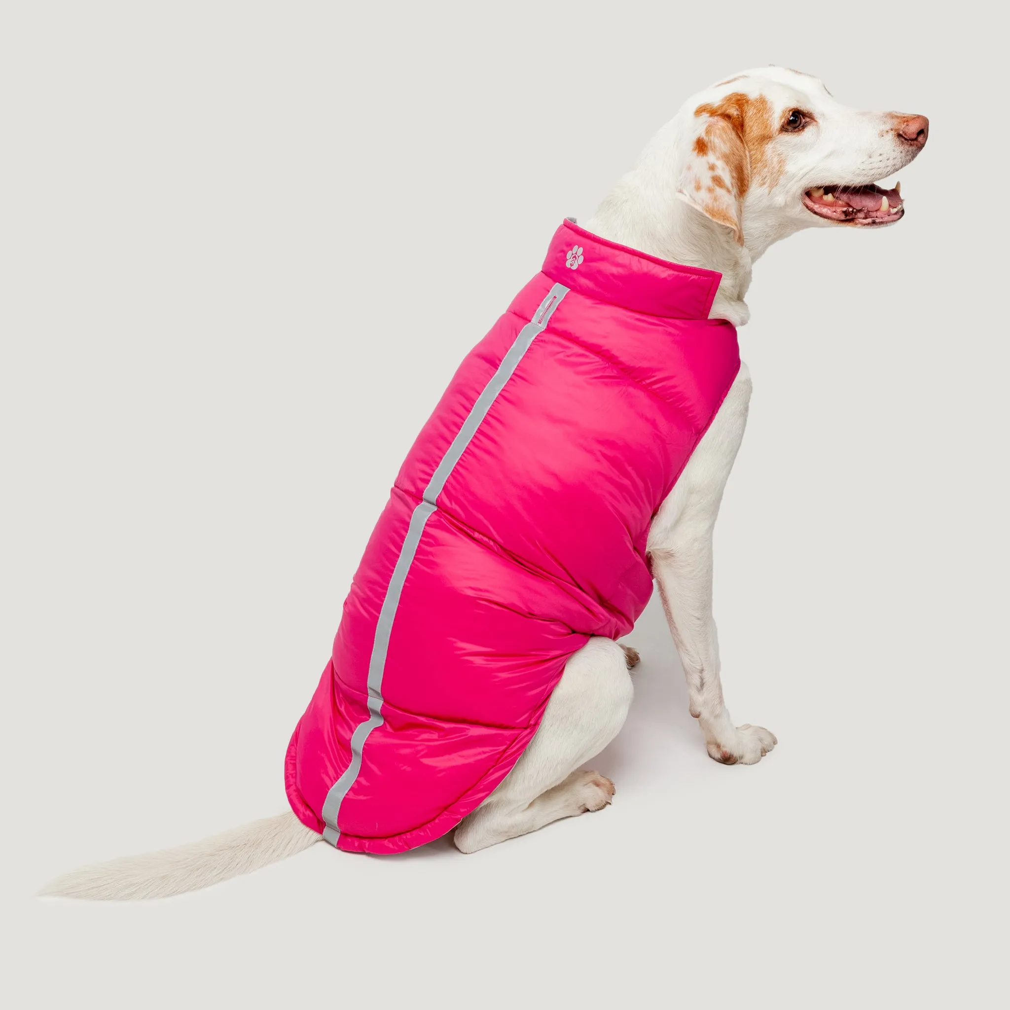 Dog Down Reversible Mock Jacket