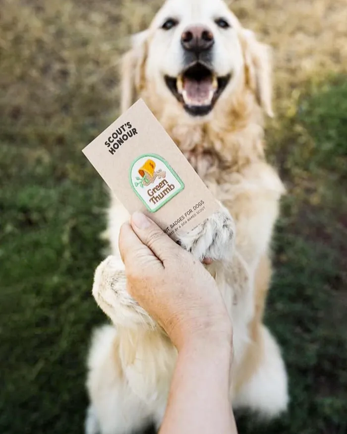 Dog Merit Badges: Green Thumb